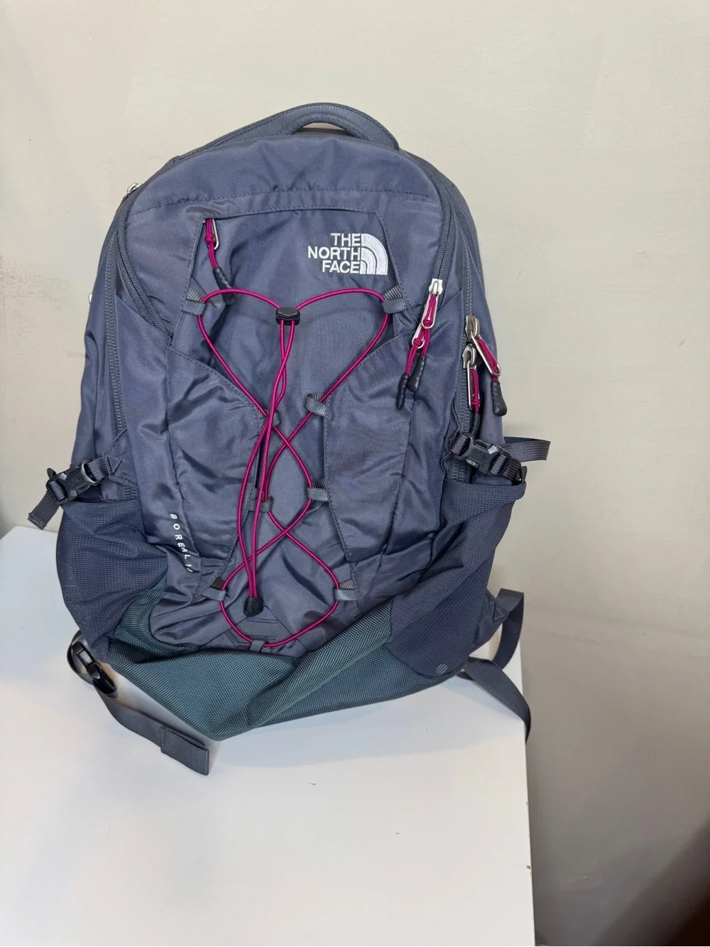 The North Face north face